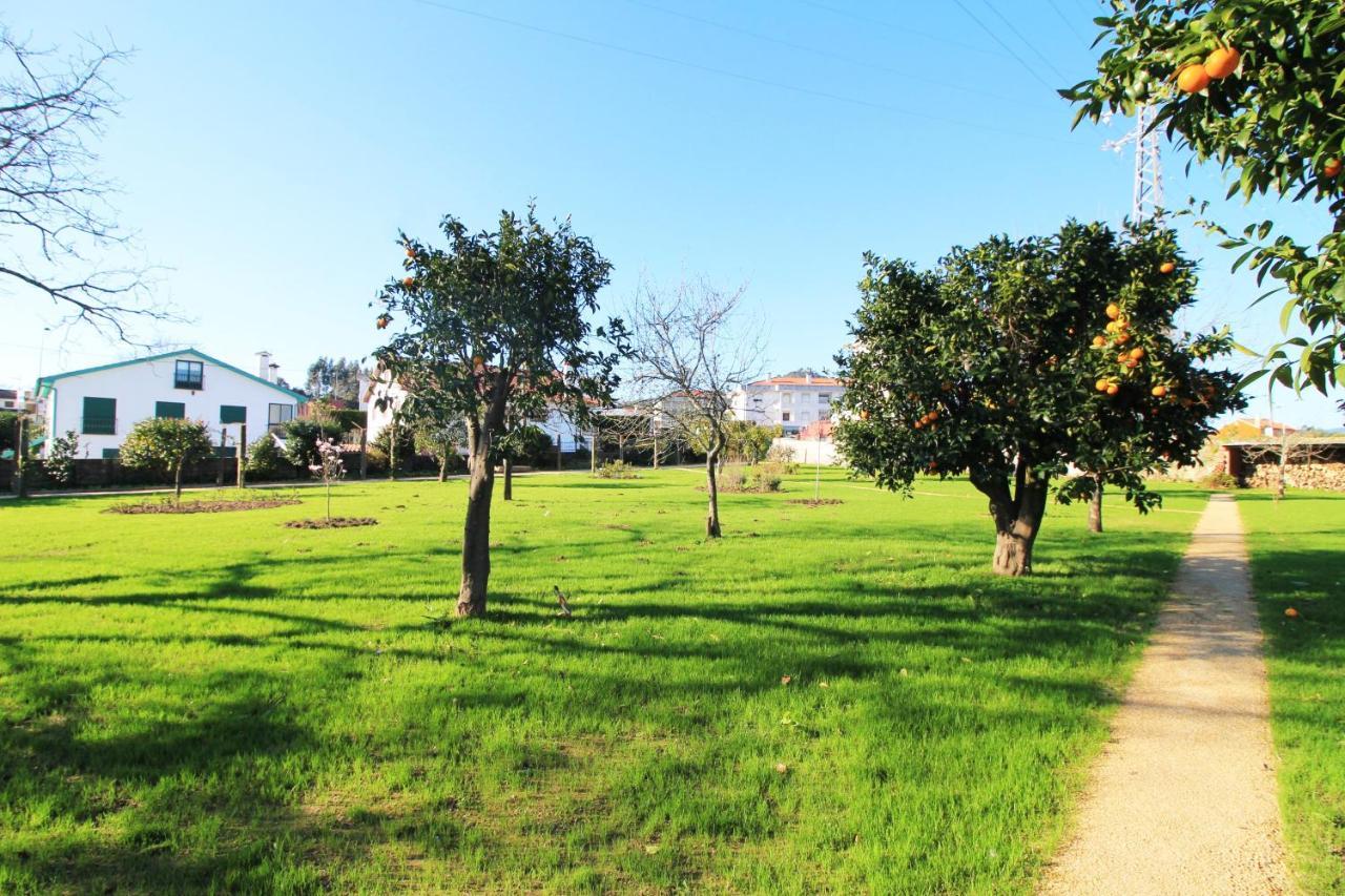 Casa Dos Ouricos Holiday home Ponte de Lima