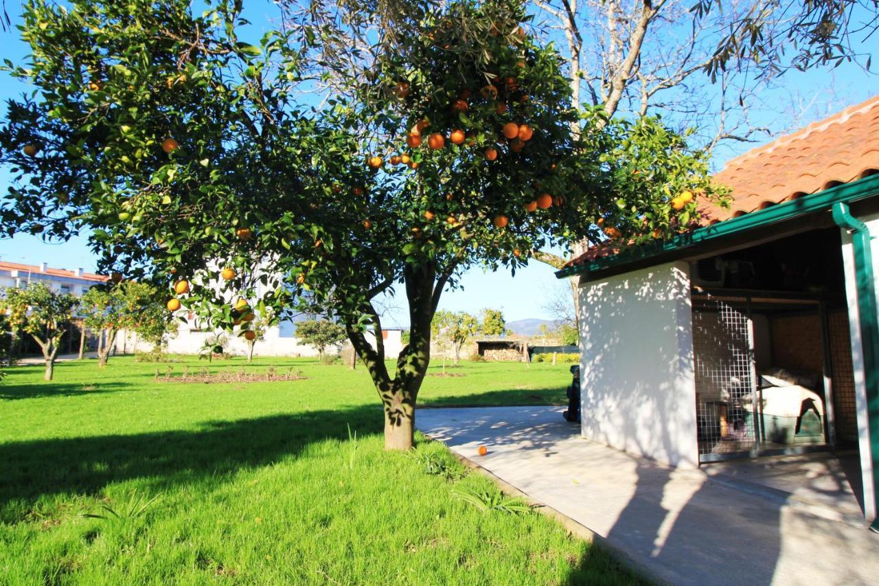 Casa Dos Ouricos Dom wakacyjny